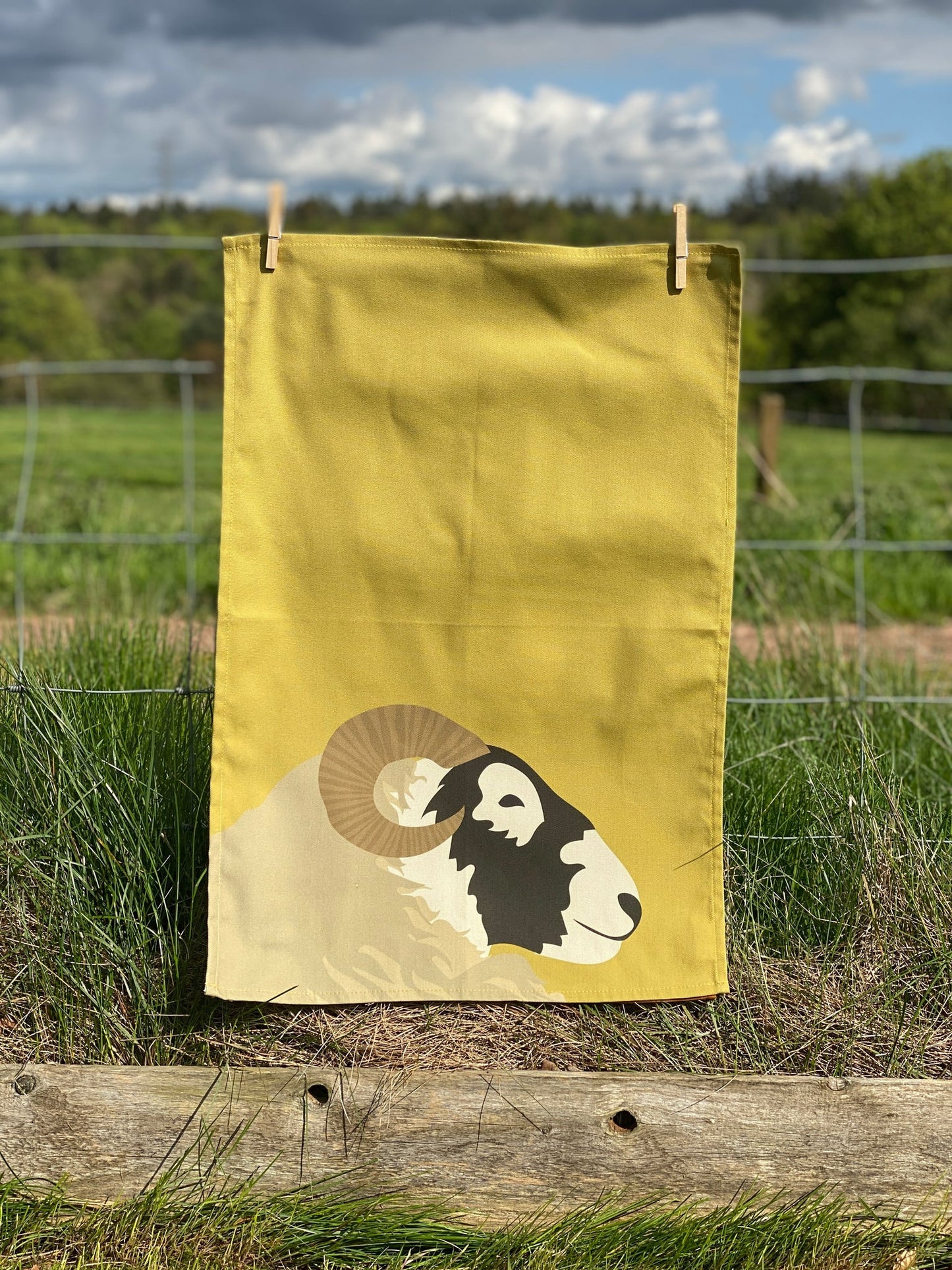 Blackface Sheep Tea Towel hanging by pegs on fence with grass and trees in the background.  