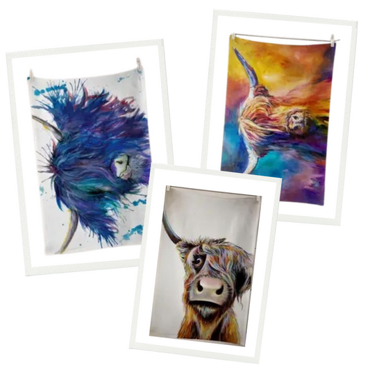 Highland Cow Tea Towel Set - Blue Splatter Highland Cow, Bad Hair Highland Cow and Rainbow Harris Highland Cow in frames on white background.  