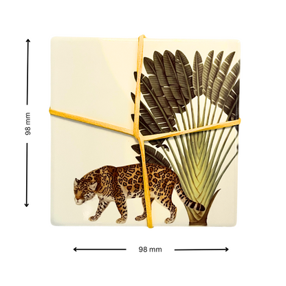 Menagerie Jungle Animal Coasters, Ceramic, Set Of 4 - 98 Cm X 98 Cm - Gift Idea